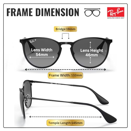 Image of Ray-Ban RB3539 ERIKA METAL Phantos Shaped Sunglasses for Women with Official RAYBAN Eyewear Kit