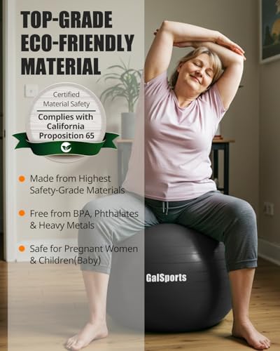 Image of GalSports Anti-Burst Slip Resistant Stability Ball - Swiss Ball for Home Gym & Physical Therapy
