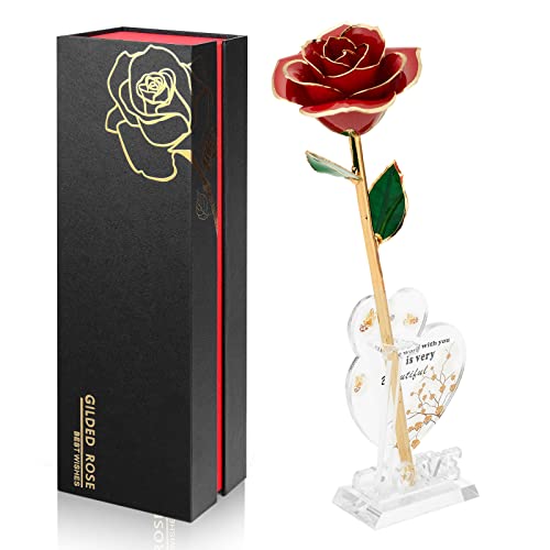 Ariceleo Gold Dipped Infinity Rose Last Forever Flower Decor Birthday Gift for Women in Her Birthday Valentines Day Mothers Day Resin Preserved Rose | Anniversary Present for Mom (Red)