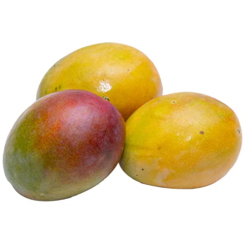 Mango Yemen 1 kg Approx.