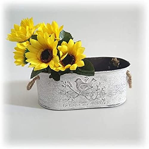 Mini seau de fer art métal pour petites plantes et fleurs au style rétro