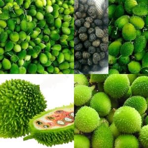 Kantola Seeds Desi Beej Kankoda Kakadi Seeds for Grow Bags and Pots Pack of 23-image-45