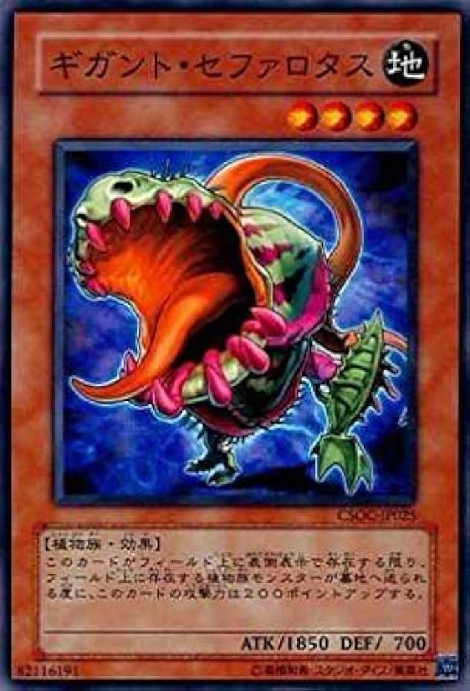 遊戯王　カードダス Amazon.co.jp: 遊戯王OCGカード 初期 遊戯王カード タートル