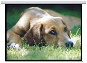 TS-1108E Motorized Projector Screen Aspect Ration 16:9 (108")