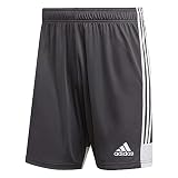 adidas Herren TASTIGO19 Shorts, dgh solid grey/White, XL