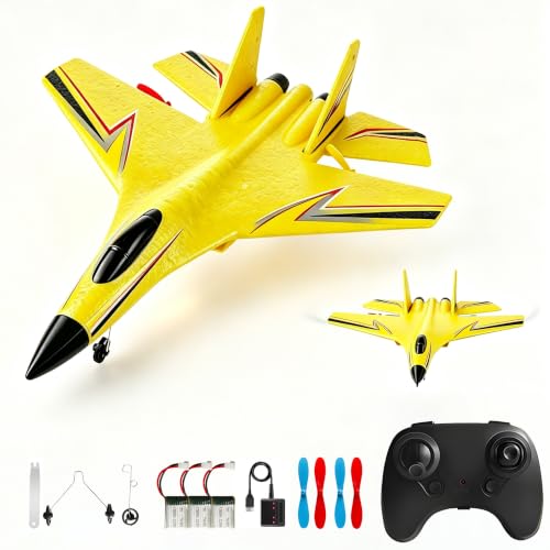Foam Remote Control Airplanes, 2.4GHz 2 Channel Remote Control Plane,RC Airplane with Led Light and...
