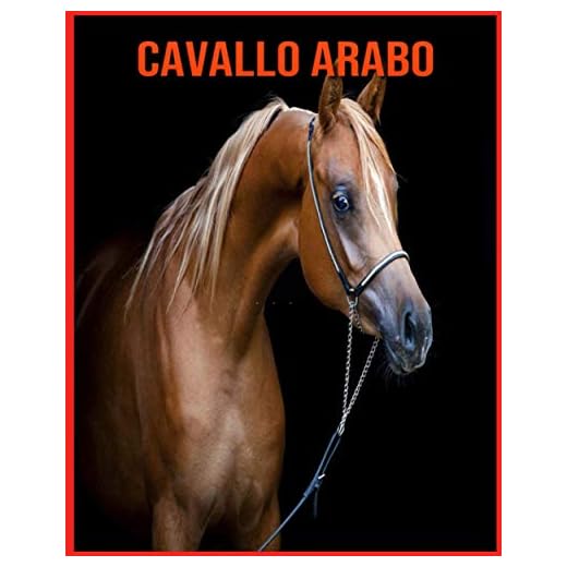 Cavallo Arabo: Foto stupende e fatti divertenti Libro sui Cavallo Arabo per bambini