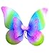 Rainbow Wings
