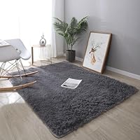 シルバーのシャギーラグ 62961559_o2.jpg?cmsp_timestamp