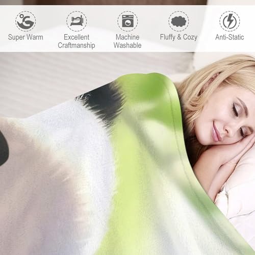 Couverture polaire panda douce pour soirées cocooning au salon - 4