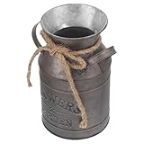 Seau - seau à fleurs et vintage apporte la touche parfaite décoration de votre maison, conteneurs de fleurs