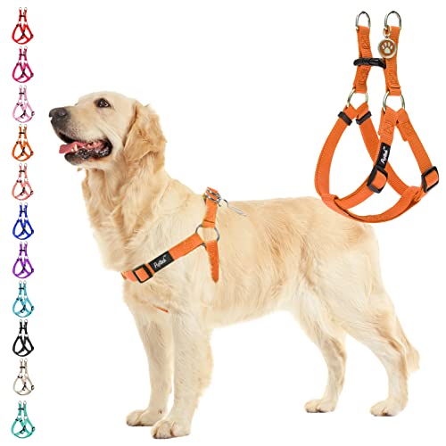 The Best Jump Dog Harness of 2022 Top 10, Best Value, Best Affordable
