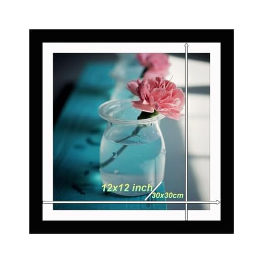 Betionol Diamond Painting Frames, Display 12x12in/30x30cm Diamond Painting Pictures or Photos, Black Natural Solid Wood Picture Frame with Acrylic Protection Glass, Back Mat And Hanging Kit