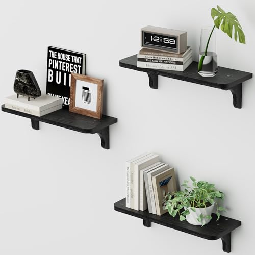 hi-home Juego de 3 estantes flotantes de pared PTM Black