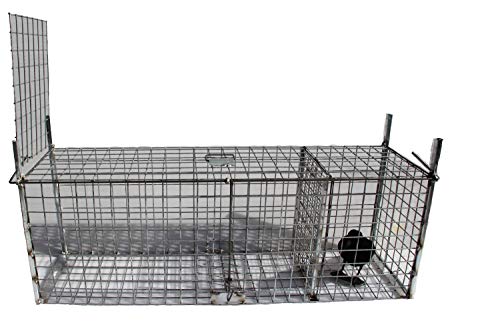 TRAPGALLIER piège Cage Renards, blaireaux avec/sans appât 120CM Fil 4mm