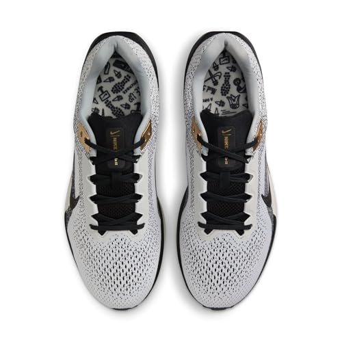 Image of Nike Mens Winflo 11 SE Running Shoes