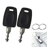 CYBRIDGE TSA 鍵 T002/T007用のロックキー 鍵 マスターキー スーツケース用 マスターキー ラベルバッグ鍵 荷物スーツケース鍵 便利グッズ tsa ロックキー スペアキー 2本セット (TSA007)