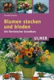 Ulmer
