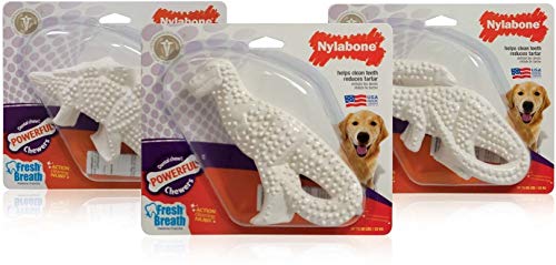 3 Pack Nylabone Durable Dental Dinosaur Chew Toy (Dinosaur Varies)