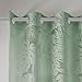 Madison Park 1 Panel Sheer Curtain for Living Room Window, Palm Leaf Burnout Lightweight Bedroom Curtains, Window Shades for Home with Grommet Top, Machine Washable, Leilani, 50x95 Green 1 Piece