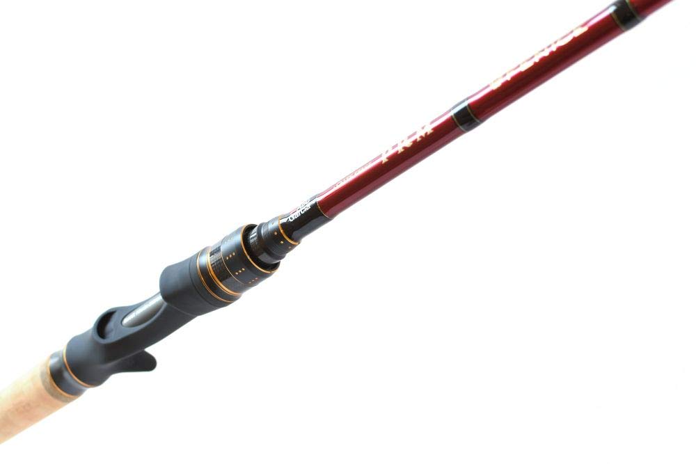 Amazon | AbuGarcia (アブガルシア) ソルティーステージPRM フェ
