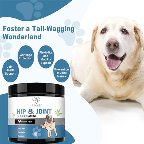 Joint Supplement for Dogs, Glucosamine Chondroitin for Dogs, Hip and Joint Support Supplement Chews Dogs Small Large Breed Dog Arthritis Pain Relief Joint Health Care Mobility Bites Treats for Dogs Joint Supplement for Dogs, Glucosamine Chondroitin for Dogs, Hip and Joint Support Supplement Chews Dogs Small Large Breed Dog Arthritis Pain Relief Joint Health Care Mobility Bites Treats for Dogs