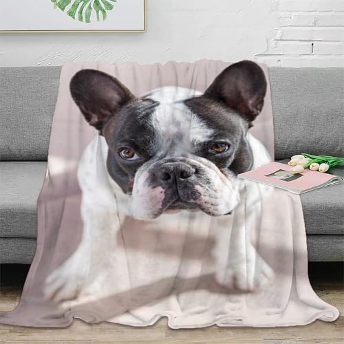 Couverture bouledogue français 3D infroissable, plaid compact en microfibre douce