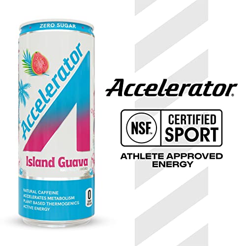 A Shoc Accelerator Island Guava, 12-Fluid Ounce Can, Performance Energy, Sugar Free, Natural Ingredients, Pack Of 12 #TOP3