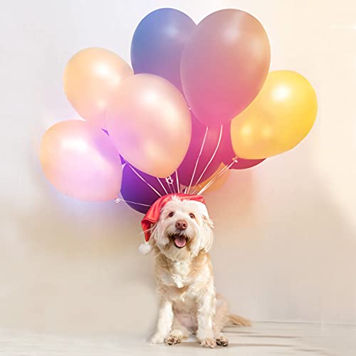 Image of 100 pcs 5 inch Pearl Peach Premium Latex Balloons Great for Kids, Adult Birthdays, Weddings, Receptions, Baby Showers, Water Fights, or Any Celebration