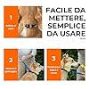 Canny Collar – Collare a Cavezza Addestramento Cane | Collare Anti‑Tiro Gentile e Sicuro | Camminate Piacevoli Senza Stress – Nero, Taglia 5
