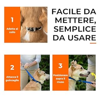 Canny Collar – Collare a Cavezza Addestramento Cane | Collare Anti‑Tiro Gentile e Sicuro | Camminate Piacevoli Senza Stress – Nero, Taglia 5