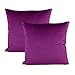 Violet Housse de Coussin en Velours Super Doux Carré Décoratif Taie d’Oreiller pour Chambre Salon Canapé Lit Chaise Voiture 45x45cm Ensemble de 2