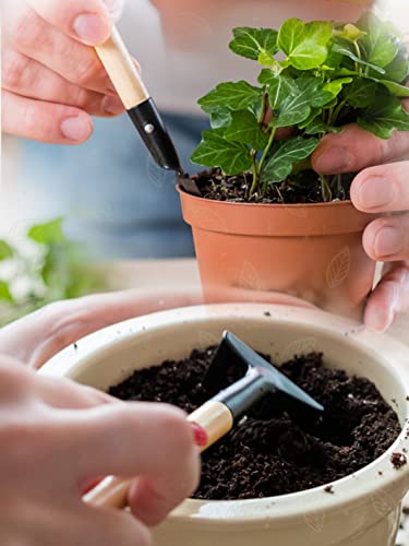 Bombay Greens Mini Gardening Tools Kit for Home Garden | Wooden Handle Garden Tools Set of 3 - Shovel, Spade & Rake in an Eco-Friendly Cloth Pouch