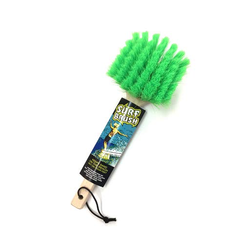 T[tB,ւ,,|,֗Surf Brush Wood T[tuV Ebh[Ebh×GREEN]