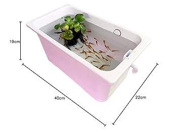Amazon.co.jp: テトラ (Tetra) じょうろでキレイメダカ鉢 40