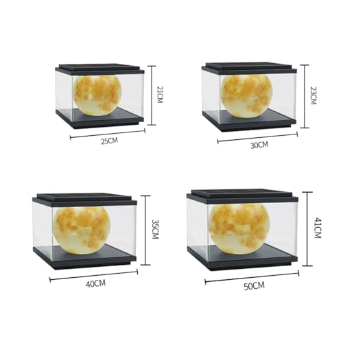 Farolas solares para exterior con carcasa impermeable para iluminar postes oscuros 6