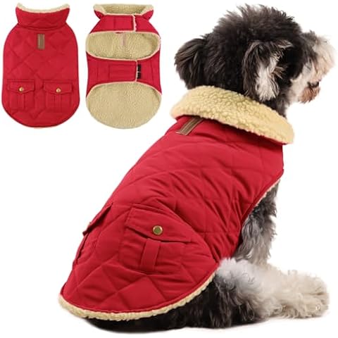 Manteau Chien Hiver Queenmore Cover