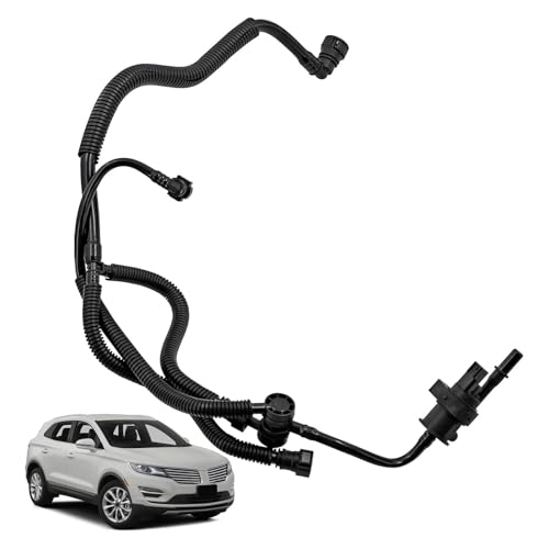 Acabe con el olor a gasolina usando el bidón de carbono BB539G271DD y tubos de purga 2.0 6