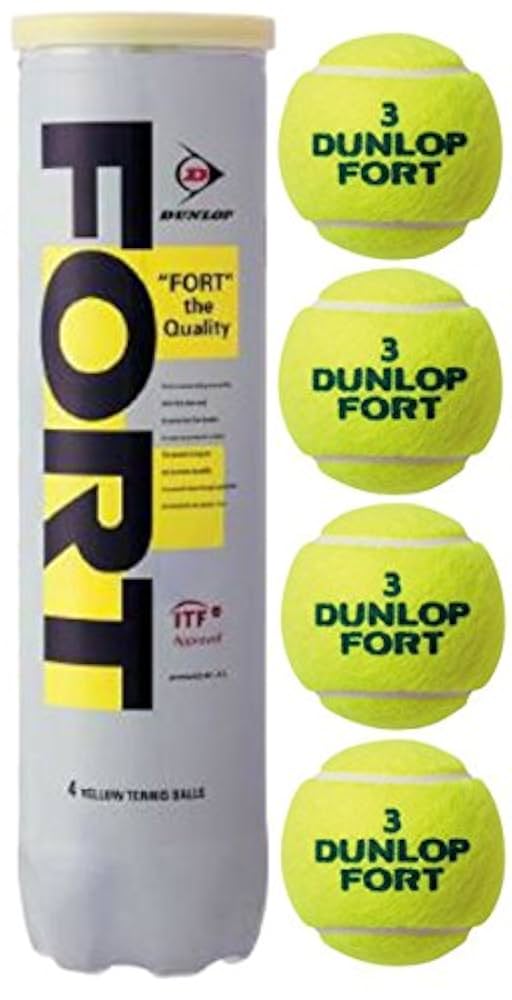 DUNLOP FORT 20缶 DUNLOP FORT ダンロップ フォート 2球入缶 SDGS | ダンロップ