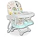 Froadp 35x34x50cm Boostersitze Klappbare Camping Kinderstuhl Baby Sitzerhöhungen Stuhl 6-36 Monate Babystuhl mit Abnehmbarer Tablett Kinder Tischsitze Sitzhilfe Hochstuhl Babysitz Kapazität 8-15KG