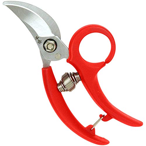 Senkichi Gardening scissors with a ring SGP-39 (Japan Import)
