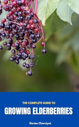 THE COMPLETE GUIDE TO GROWING ELDERBERRIES (Fruits farming)