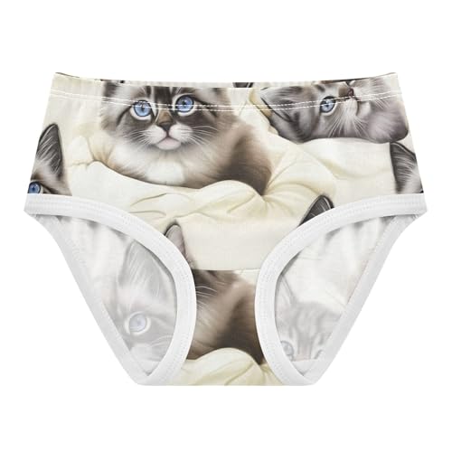 Cute Kittens Cream Toddlers Underwear Floral 2t Cotton Little Girl Panties Fancy Briefs Undies Kids