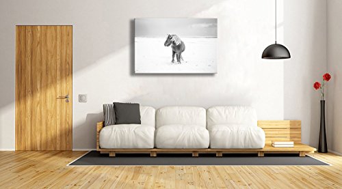 Kalawa Black And White Modern Wall Decor Animal Landscape Picture Print On Canvas Horse Poster Contemporary Artwork Ready To Hang For Living Room Bedroom Decorations (16''W X 24''H #TOP1