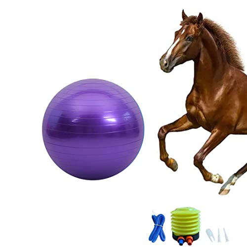 Chyesong Pferdeball-Trainingsspielzeug, Anti-Burst-Pferde-Übungsball mit Inflator-Pumpe für Pferd, Lamm, Ziege, Unterhaltungsspielzeug Ball (55,9 cm, lila), 55,9 cm