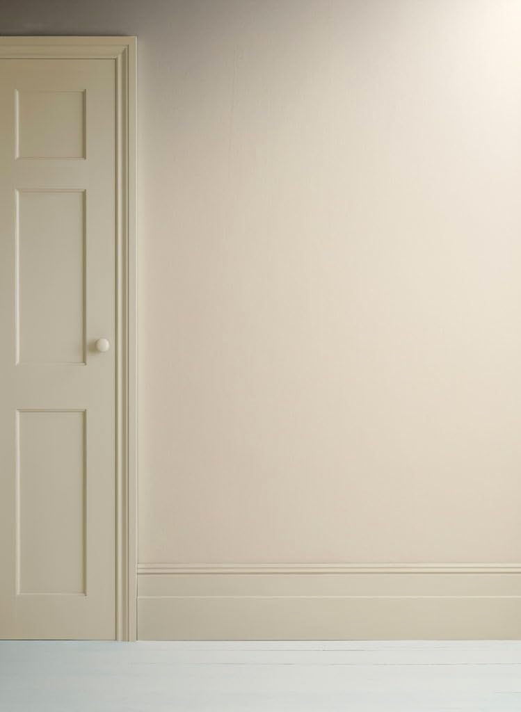 Annie Sloan Satin Paint (Canvas, 25 Fl Oz/750 mL). Soft sheen for interior wood and metal. Self-leveling, all-in-one paint with no wax or lacquer required.