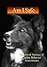 Am I Safe? The Art & Science of Canine Behavior Assessments