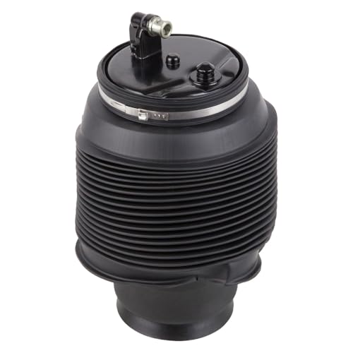 Rear Left Right Air Suspension Spring For Toyota Sequoia 2005 2006 2007 - BuyAutoParts 76-10103AN New