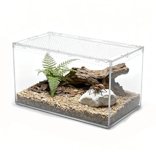 Terrarium dla gadów, ochrona przed ucieczką, obudowa dla gadów z magnetyczną pokrywką, przezroczyste wiwarium z widokiem 360°, dla gekona, pająka, ptasztuli, żaby, pustelnika, owadów i małych gadów