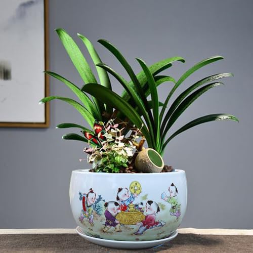Juego de macetas de cerámica para bonsái, Maceta Grande de Porcelana para orquídeas con Orificio de Drenaje y Bandeja para platillos para jardín Interior y Exterior (Amarillo)